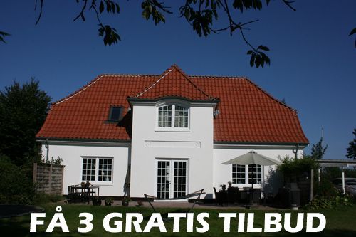 Maler Rebild