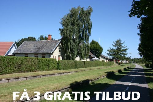 Maler Svenstrup J