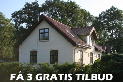 Maler Silkeborg