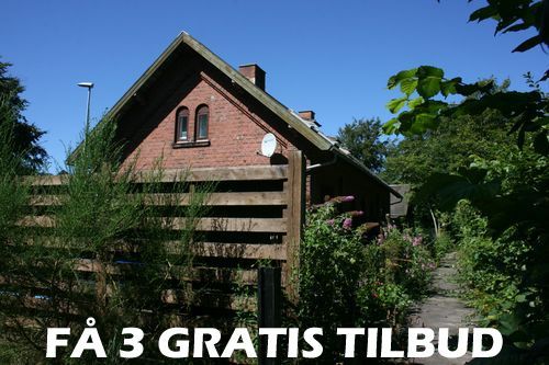 Maler Ringsted