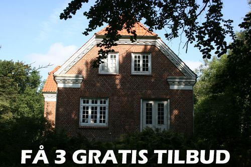 Maler Nykøbing