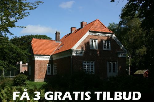 Maler Rødovre