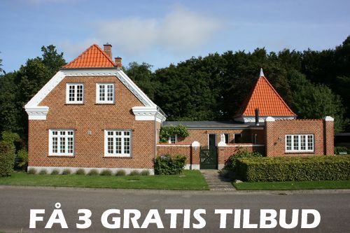 Maler Odder