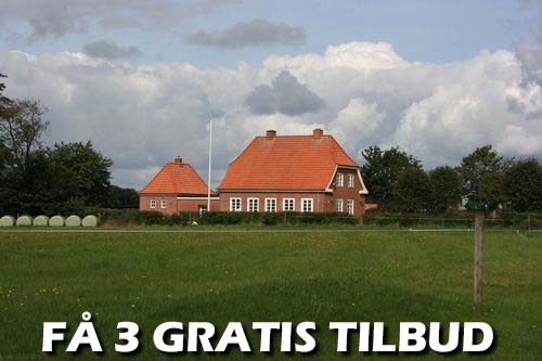 Maler Aarhus