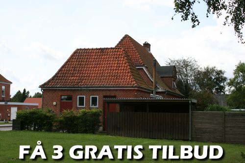 Maler Nyborg
