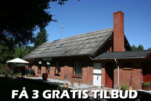 Maler Sjælland