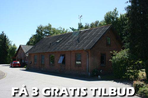 Maler Furesø