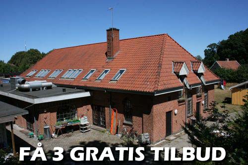 Maler Thisted
