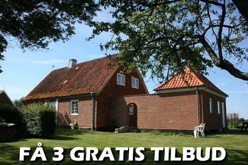 Maler Roskilde