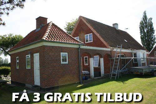 Maler Ishøj