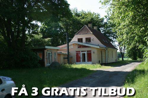 Maler Ringsted