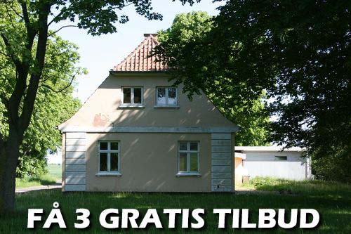 Maler Tølløse