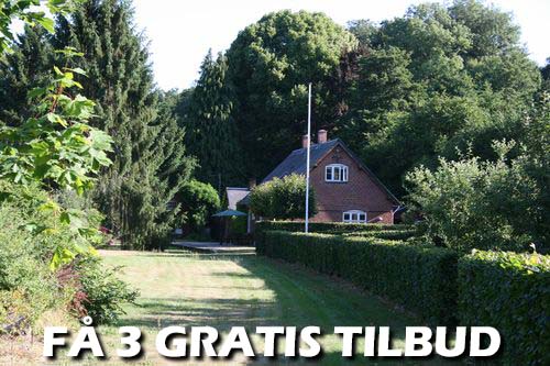 Maler Furesø