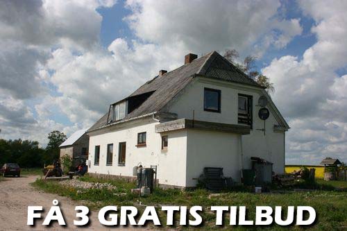 Maler Borup