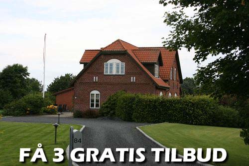 Maler Skive