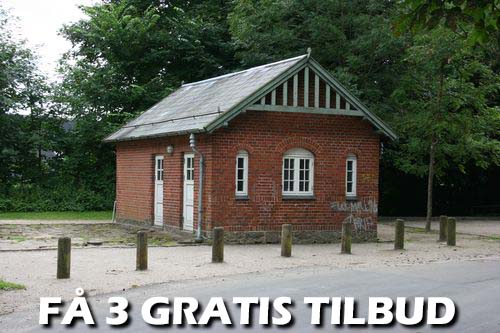 Maler Furesø