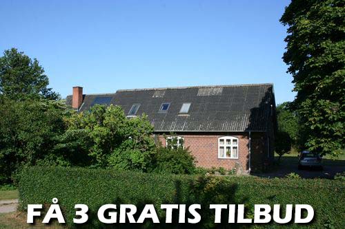Maler Odense
