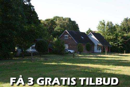 Maler Assens