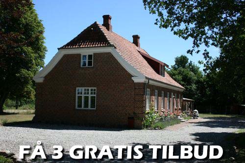 Maler Bagsværd