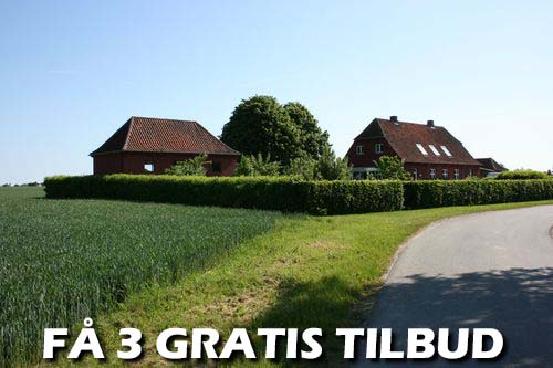 Maler Aarhus