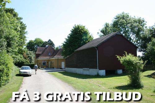 Maler Næstved