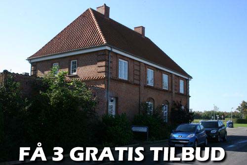 Maler Herlev