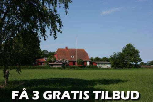 Maler Helsingør