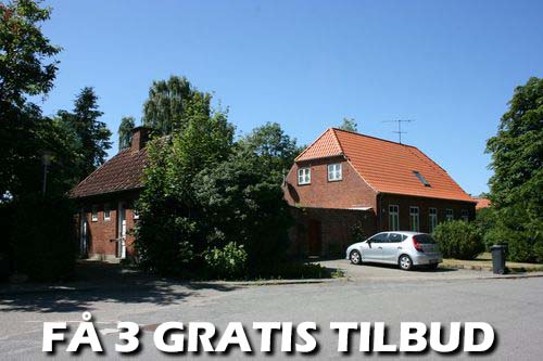 Maler Skjern
