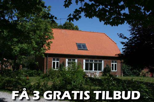 Maler Køge