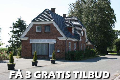 Maler Gentofte