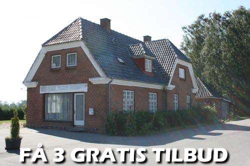 Maler Hedensted
