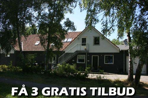 Maler Lolland