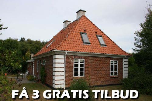 Maler Lyngby