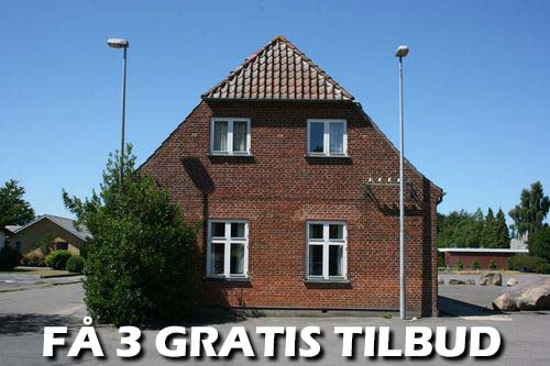 Maler Ribe