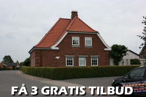 Maler Furesø