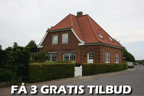 Maler Ringsted