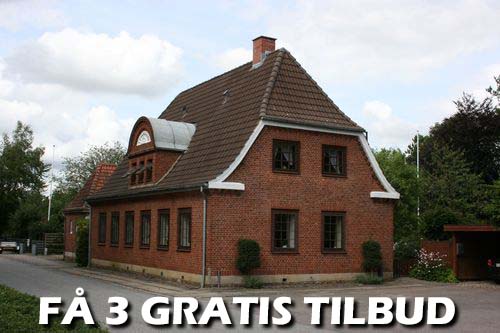 Maler Viborg