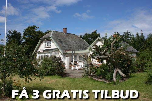 Maler Værløse